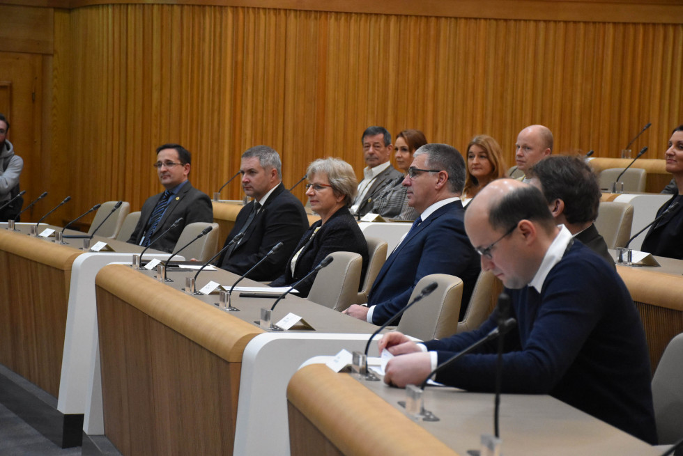Ministrica Irena Šinko na dogodku v Državnem svetu