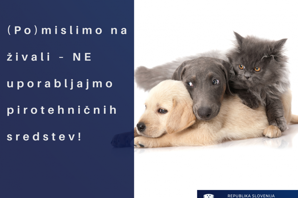 Pogled na prestrašene živali