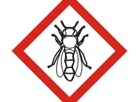 Pogled na opozorilni znak z rdečo obrobo. Na sredini narisana čebela. 