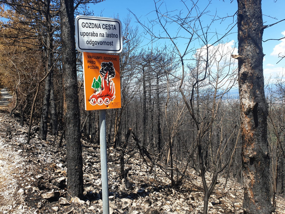 pogled na požgan gozd, v ospredju opozorilna tabla o preprečevanju požara