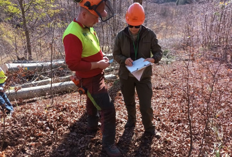 Gozdarski in delovni inšpektorji skupaj nadzirali izvajanja del v gozdovih 