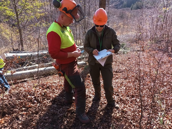 Gozdarski in delovni inšpektor v skupni akciji v gozdu