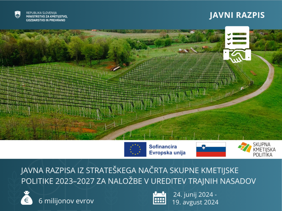 Plakat, ki razglaša, da sta objavljena dva razpisa za naložbe za ureditev trajnih nasadov.