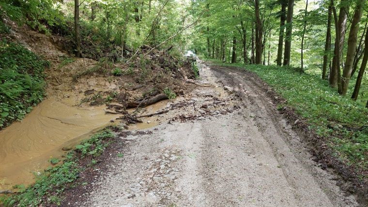 Poškodovana gozdna cesta