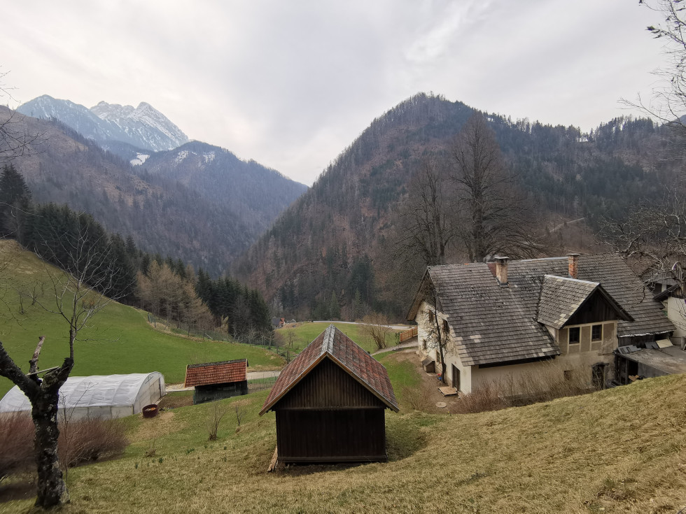 Gorska kmetija