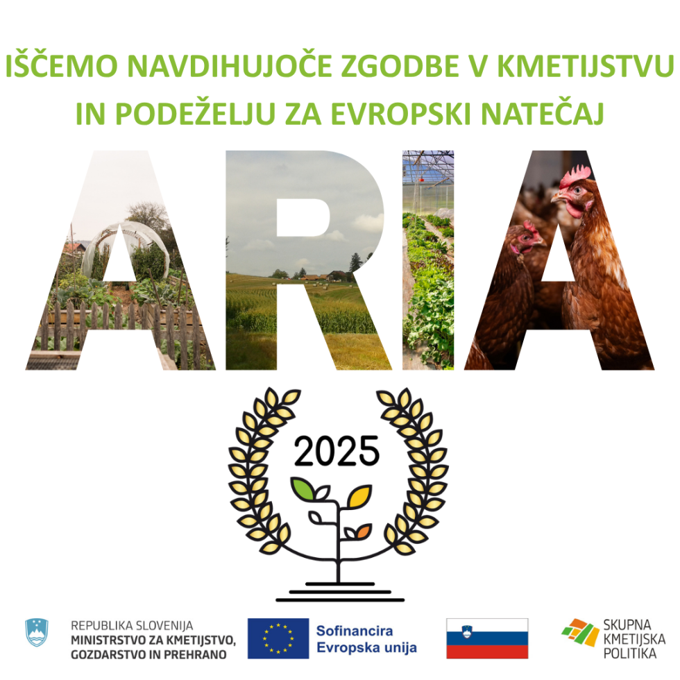 Pogled na plakat za nagrado ARIA v letu 2025. 