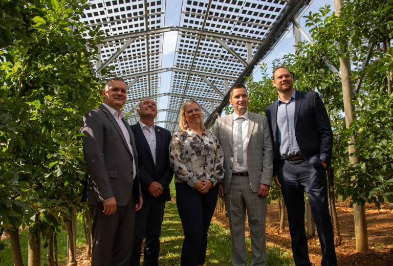 Agrofotovoltaika je eden od odgovorov na vse večje izzive kmetijstva