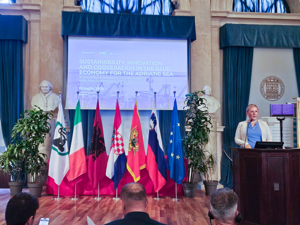 Ministrica stoji za govorniškim pultom in govori.