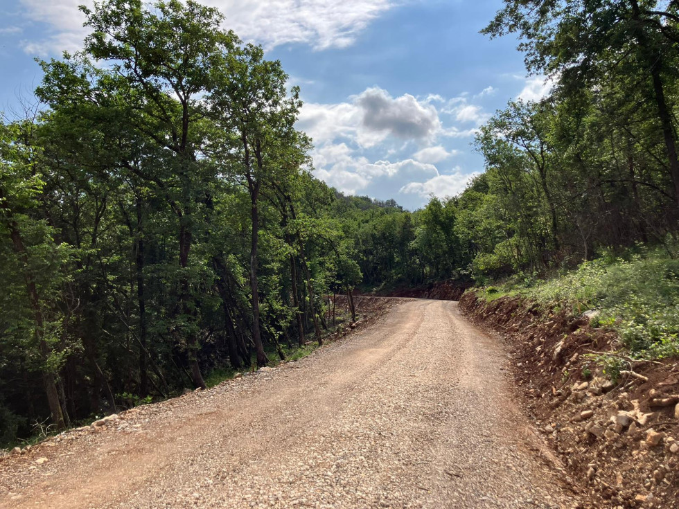 Pogled na zgrajeno gramozno protipožarno cesto. Obdana je z gozdom. 