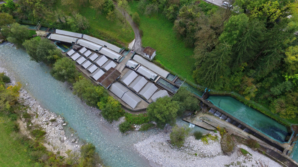 Pogled na ribogojnico iz zraka. Ob poslopju teče reka. 