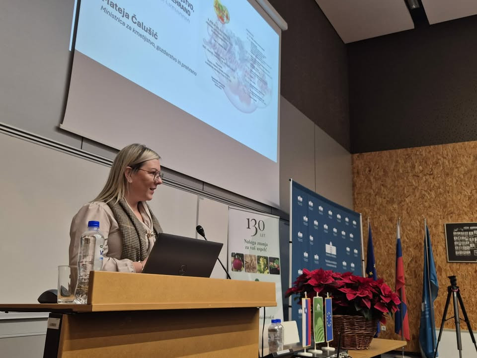 Pogled na osebo, ki stoji za govorniškim pultom in govori. 