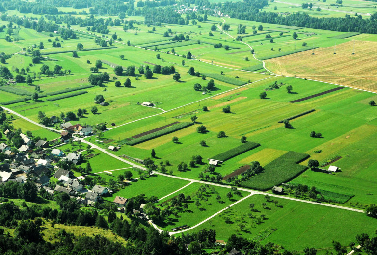 Četrta sprememba SN SKP 2023–2027 krepi konkurenčnost kmetijstva in prispeva k prehranski varnosti