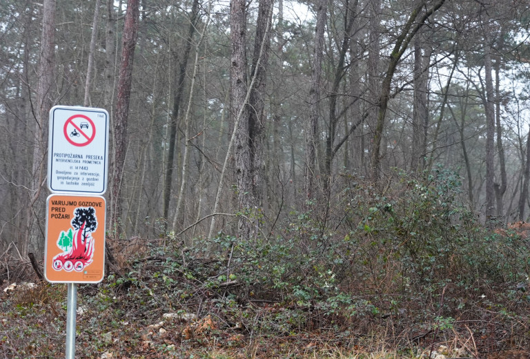 Ministrstvo za kmetijstvo, gozdarstvo in prehrano nadaljuje z ukrepi za večjo požarno varnost gozdov