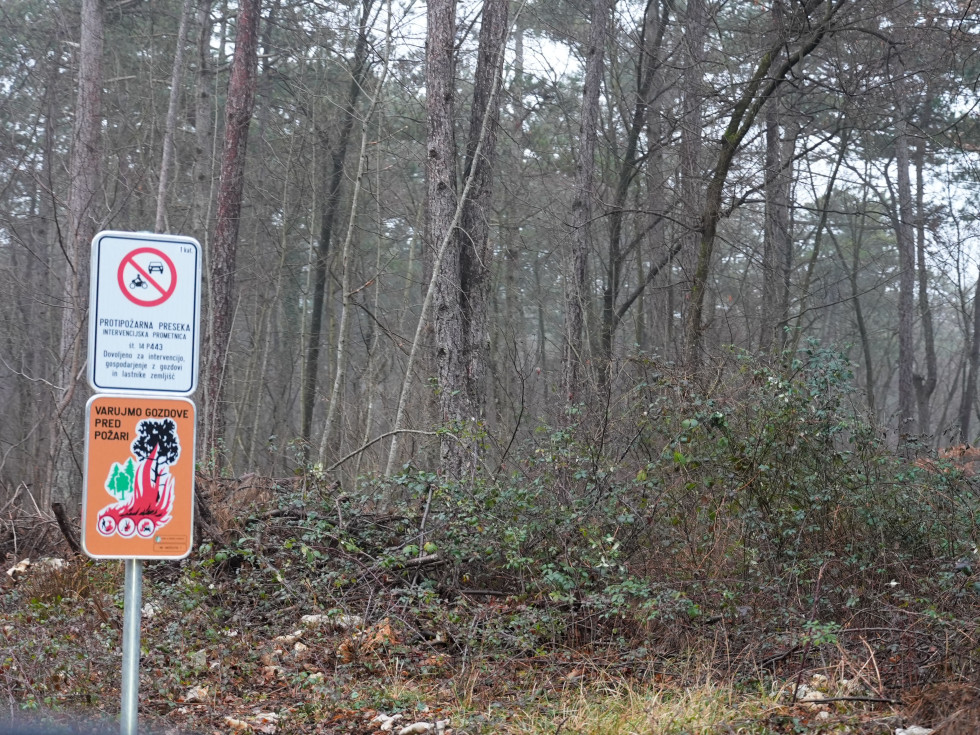 Gozd, v ospredju znaka protipožarna poseka in varujmo gozdove pred požari