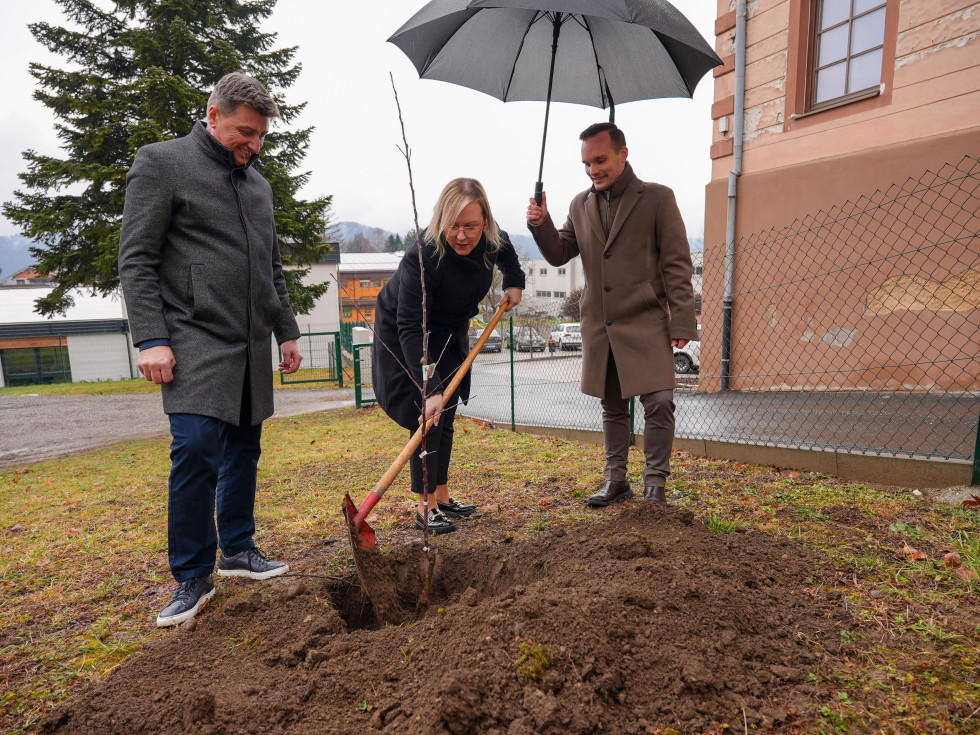 Tri osebe stojijo ob luknji in sadijo drevo. 