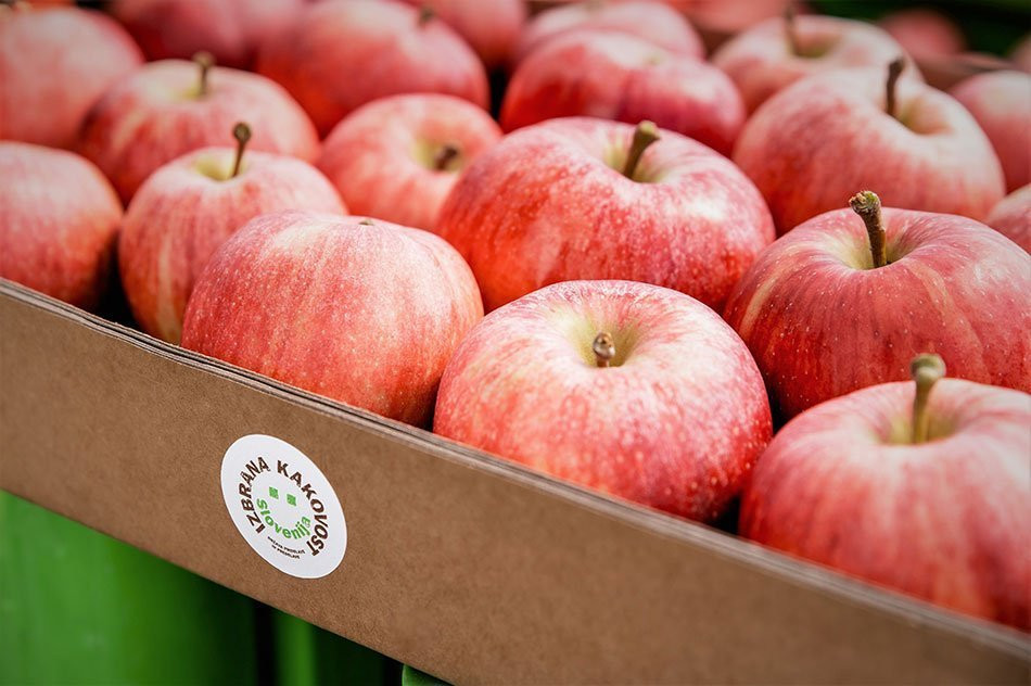 Zaboj rdečih jabolk. Na njem je znak Izbrana kakovost Slovenija.