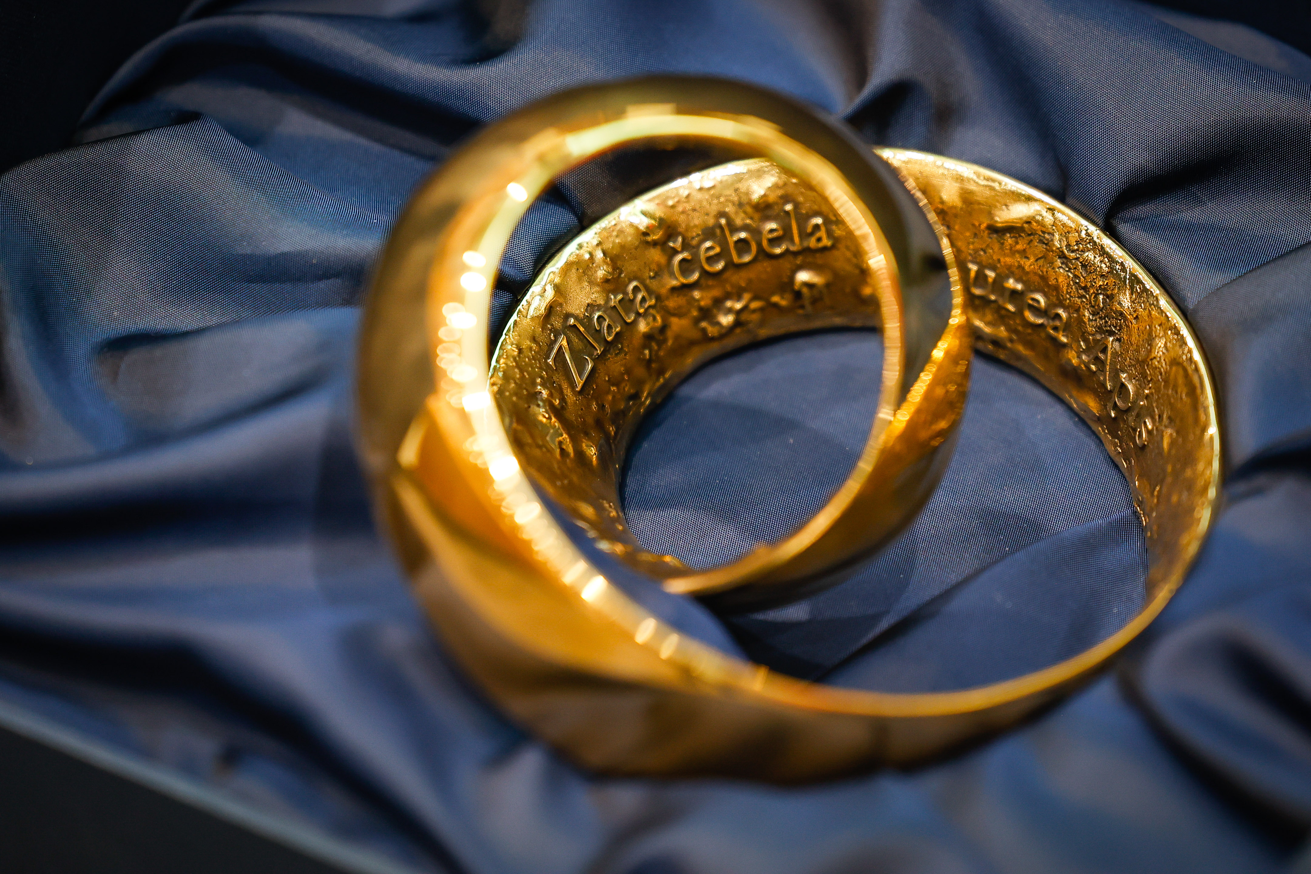 This year's Golden Bee Award will be presented for achievements in research