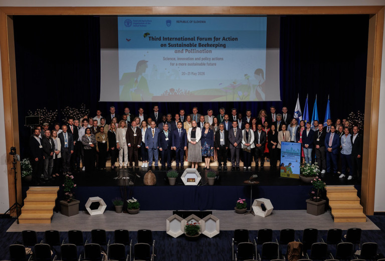International forum in Slovenia strengthens efforts for sustainable beekeeping and the protection of pollinators