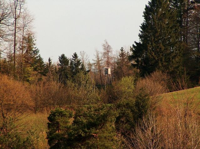 Lovska opazovalnica od daleč sredi gozda