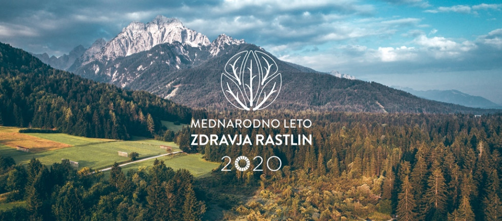 Gozd in gora, logotip mednarodnega leta zdravja rastlin