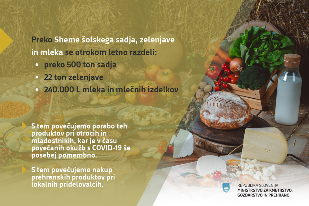 Informacije o šolski shemi