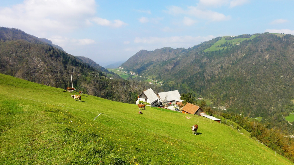 Kmetija na gorskem pobočju