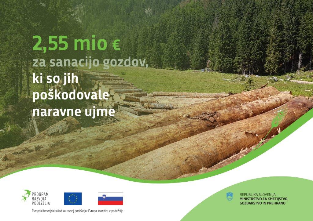 infoslika javnega razpisa