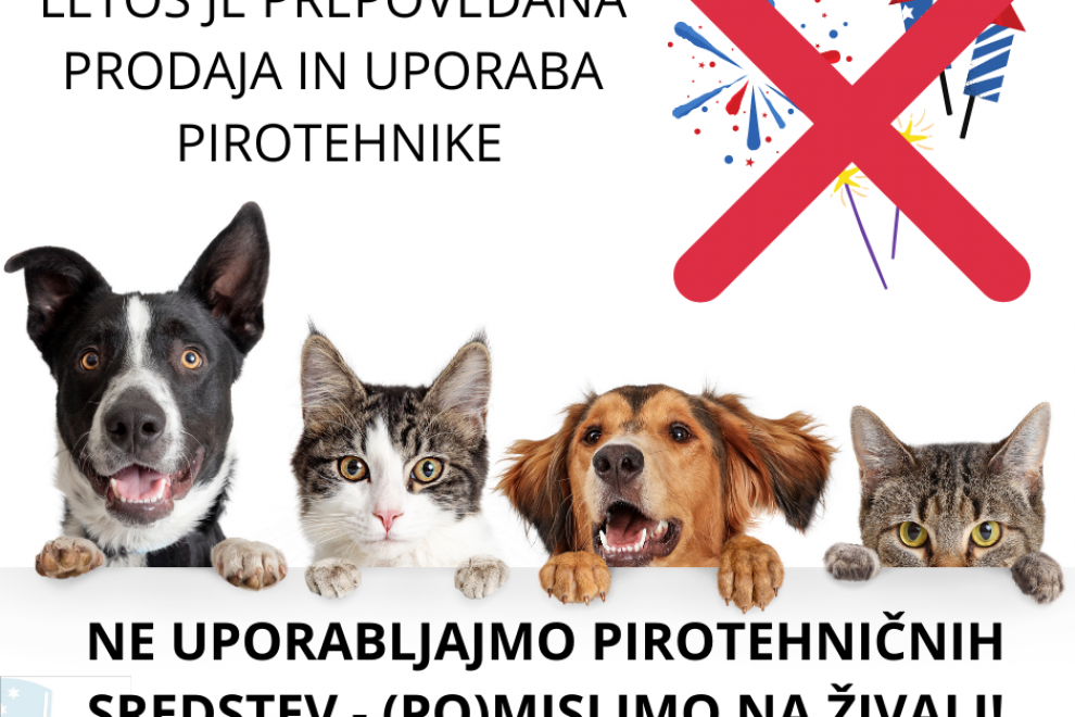 Infoslika kot v besedilu novice, na sliki tudi dva psa in dve mački