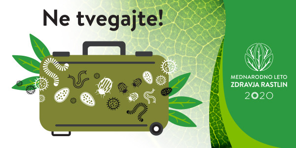 Infografika, kovček na katerem so hrošči, virusi, ogorčice in bakterije. Z napisom Ne tvegajte in logotipom Mednarodno leto zdravja rastlin.!