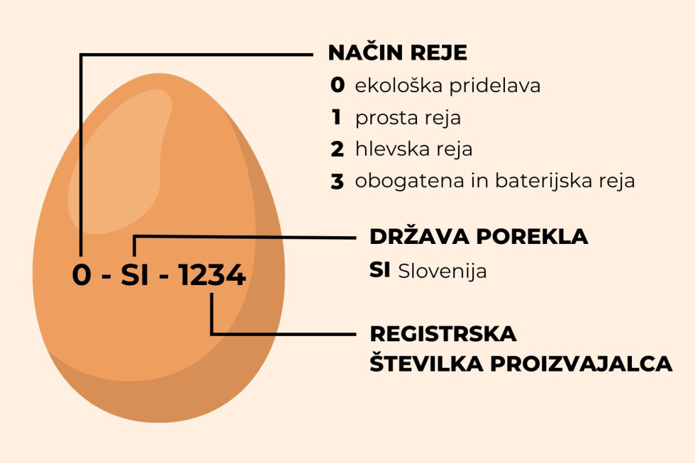 Obrazložitev označb na jajcih. 