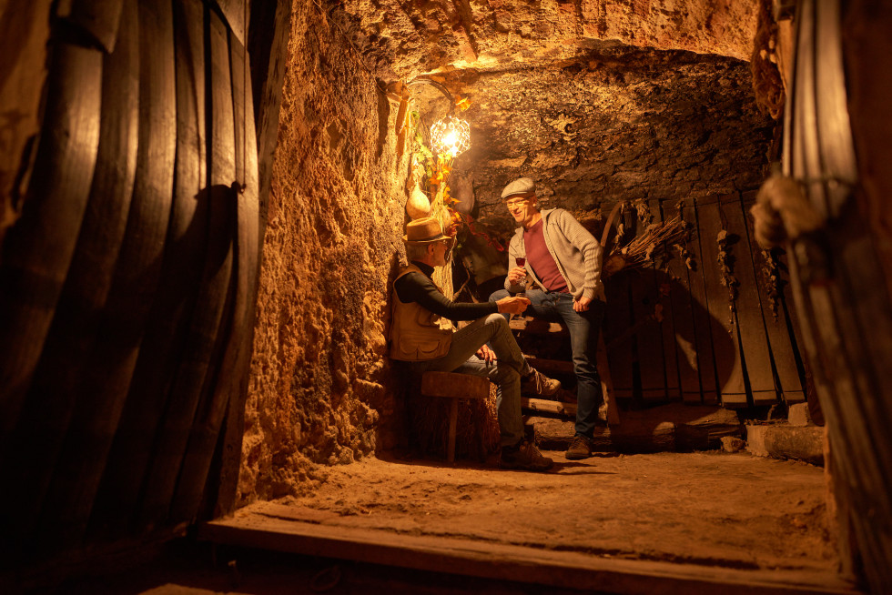 Two men drinking wine in the cellar