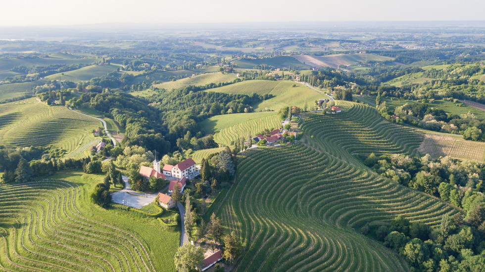 pogled iz zraka na vinograde, na vrhu hriba je naselje