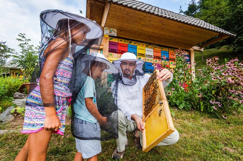 Children and beekeeper in front of the beehive 