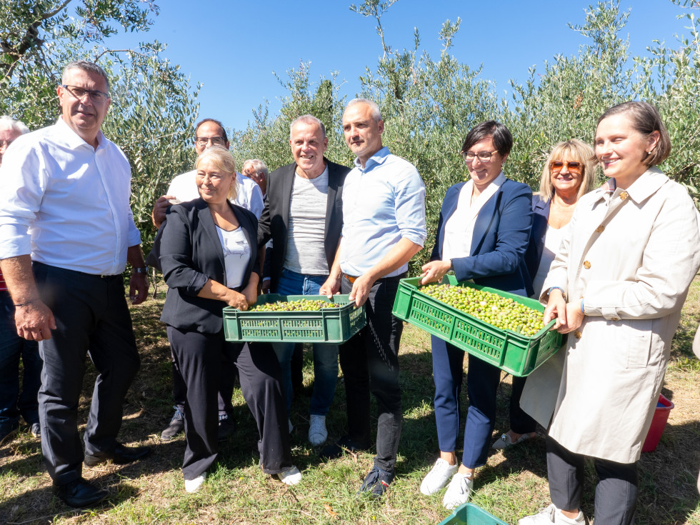 Skupina ljudi na prostem ob dveh zelenih zabojnikih za olive. V ozadju oljke.