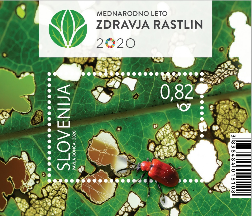 Znamka z napisom Mednarodno leto zdravja rastlin, na njej hrošč in gnil list