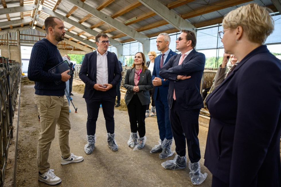 Več oseb stoji in si ogleduje hlev. 