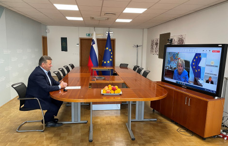 Jevsek Ferreira solidarnostni sklad (Minister Jevšek in komisarka Ferreira, video konferenca)