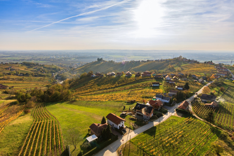 Pogled na lendavske gorice.