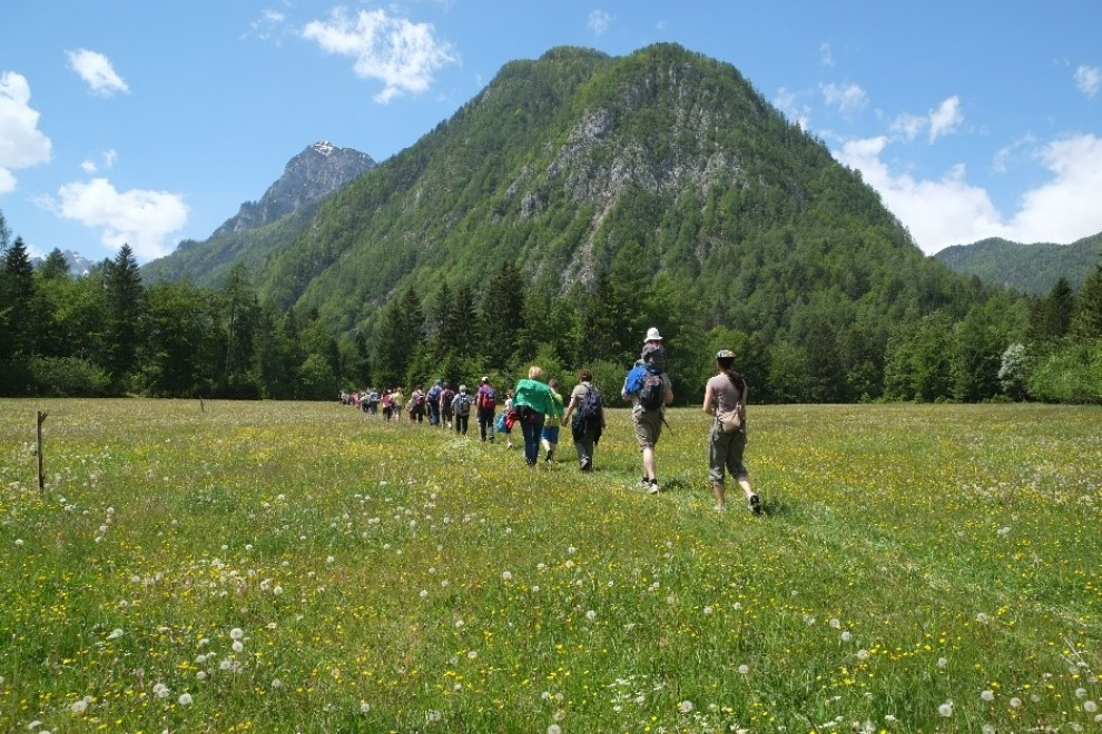 Pohodniki hodijo po travniku po dolini Radovne, v ozadju hribi