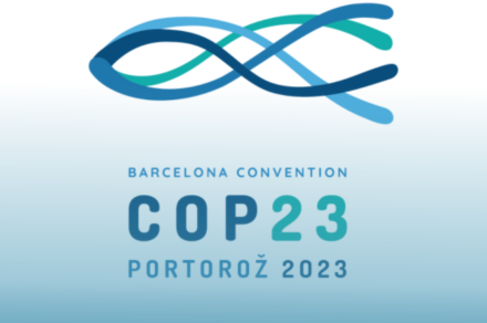 Slovenian Presidency of the Barcelona Convention 2024–2025
