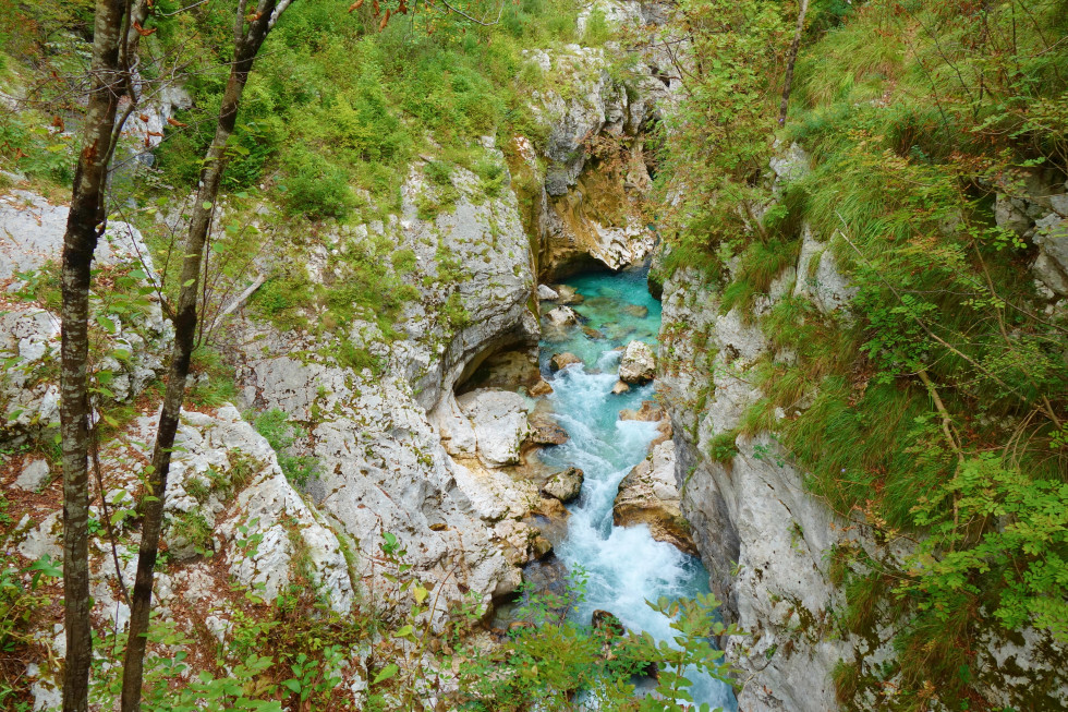 Območje Natura 2000 Soča z Volarjo 