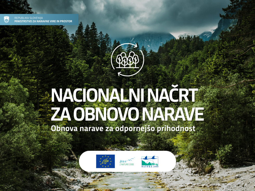 Fotografija gozda, sredi teče potok, v ozadju gore in napis Nacionalni načrt za obnovo narave