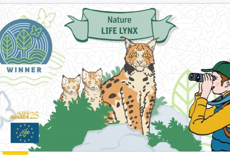 LIFE Lynx project wins two prestigious LIFE 2025 awards 