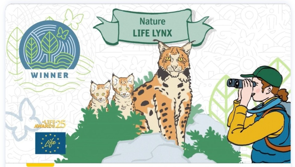 Grafika prvonagrajenega projekta LIFE s podobo risa in mladičev
