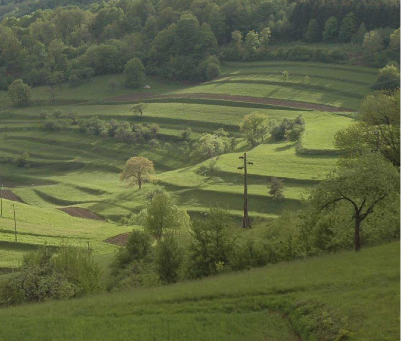 Raznolika krajina na manjšem območju 