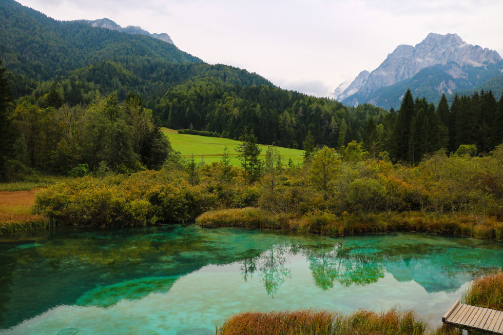 Naravni rezervat Zelenci - fotografija jezera, v ozadju gozd in gorovje