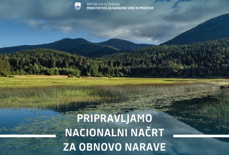 Ministry of Natural Resources and Spatial Planning is preparing National Nature Restoration Plan 