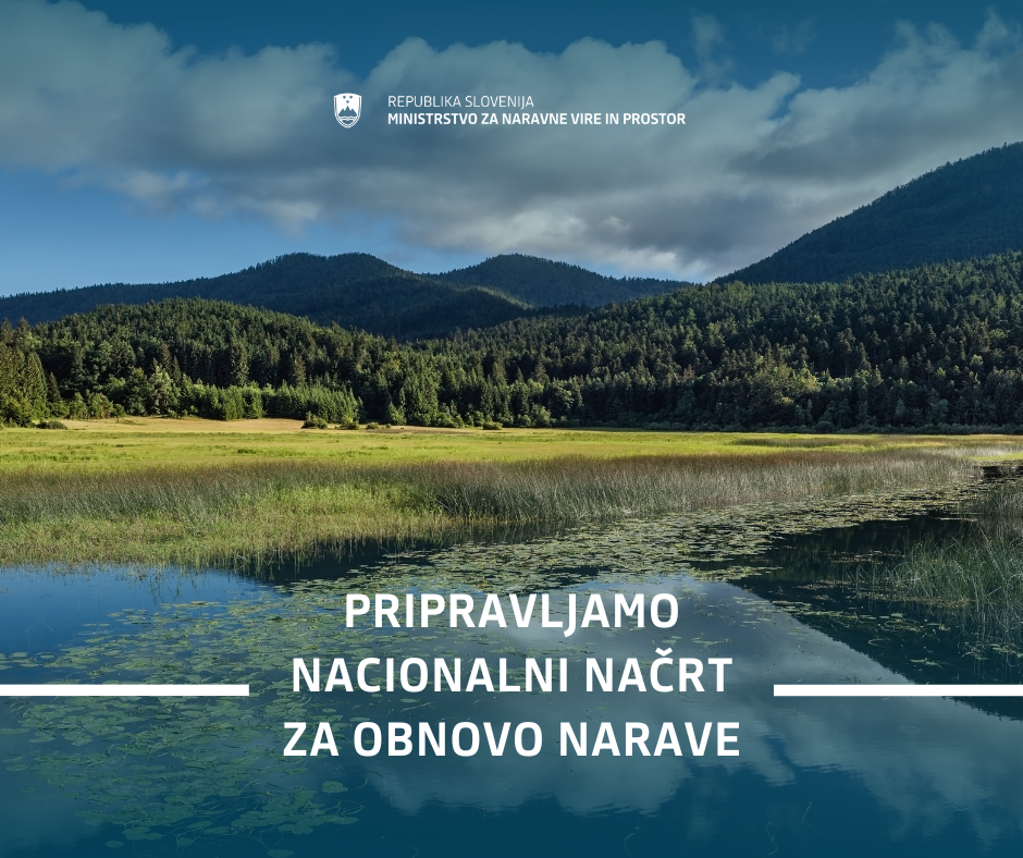 Grafika močvirnega predela, v ozadju so gozdovi in napis Pripravljamo nacionalni načrt za obnovo narave