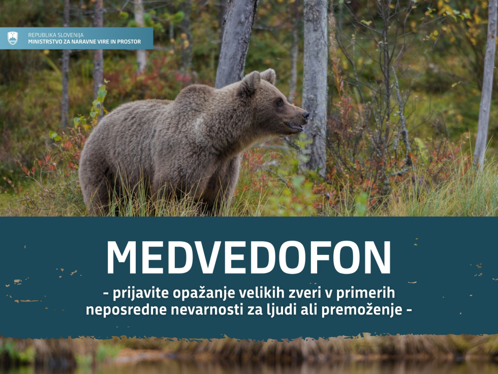 Grafika s fotografijo medveda v gozdu in napisom Medvedofon