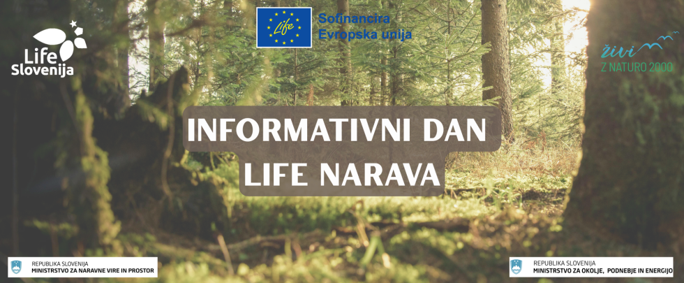 Grafika z napisom informativni dan life narava, v ozadju gozd